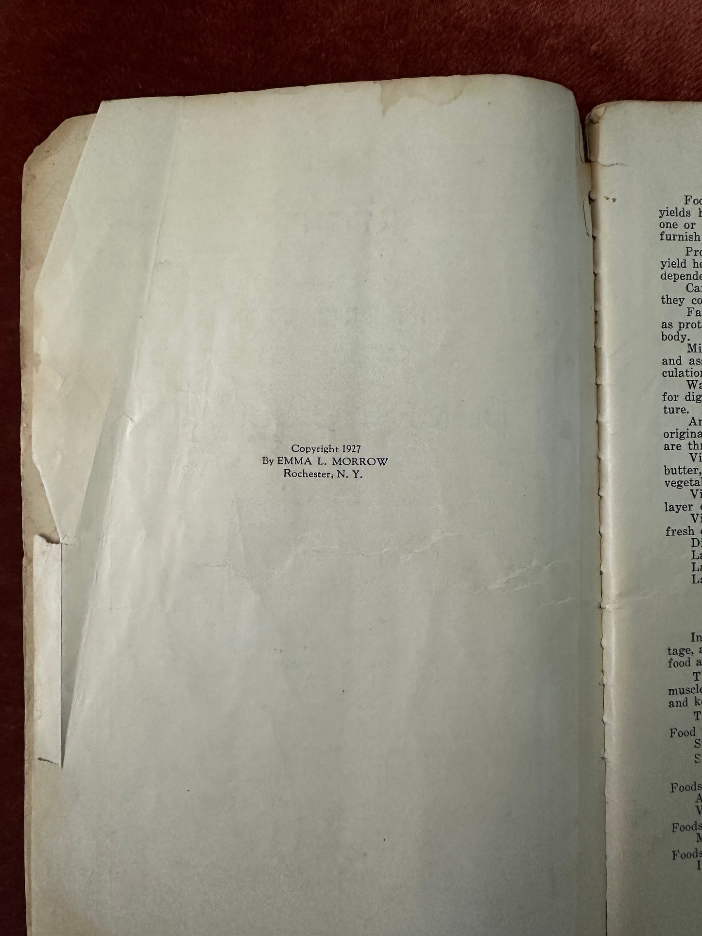 1927 Recipes for Instruction in Domestic Science Paperback Book by Emma L. Morrow Rochester, N.Y.