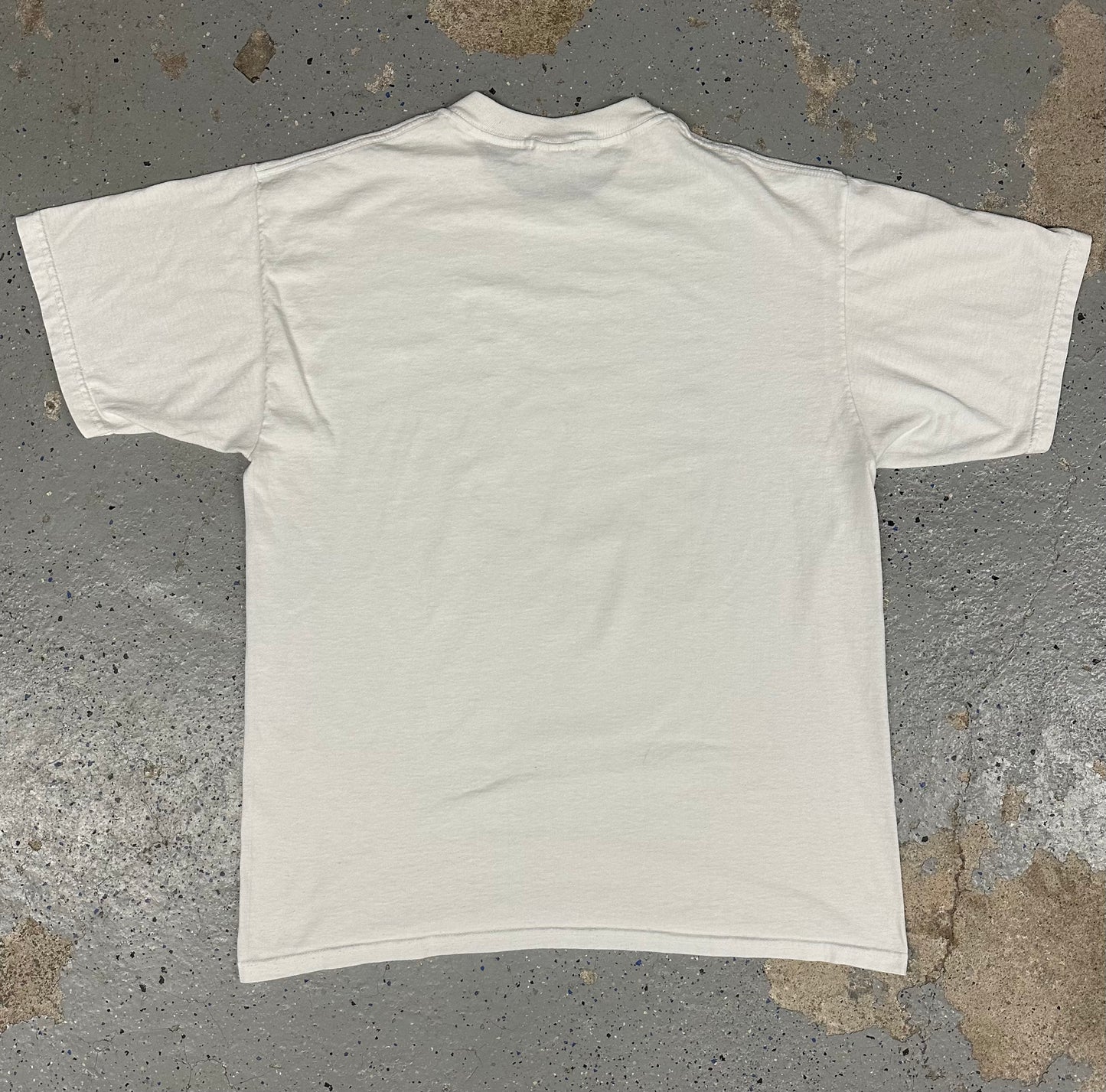 1992 Endangered Turtles Sherry Vinston Tee