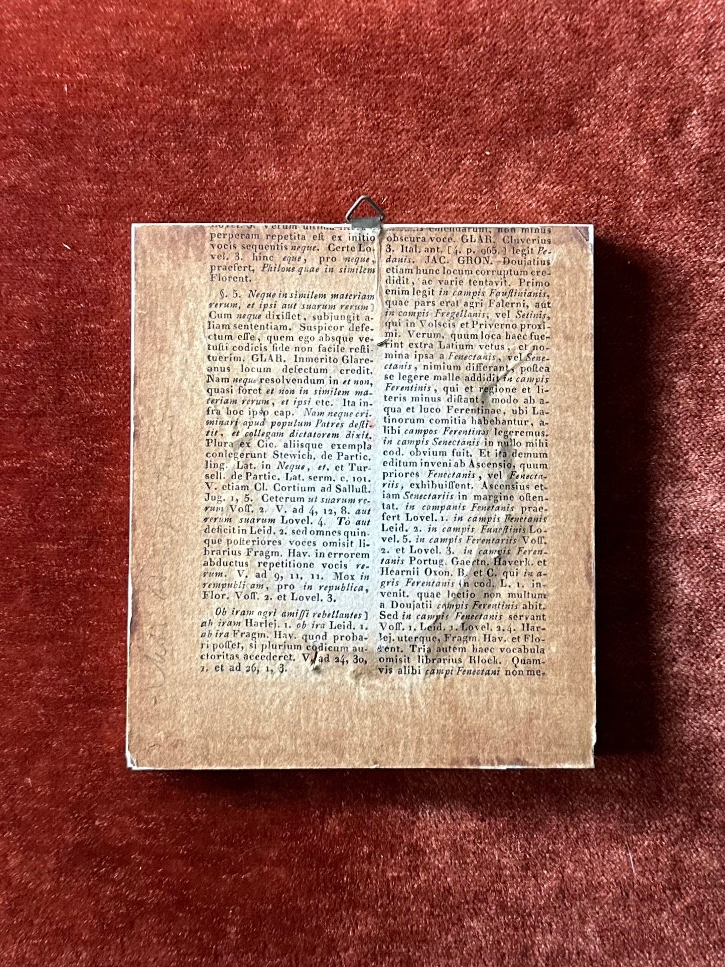 Antique 19th Century Hand Painted French Portrait of a Lady Mother of Pearl Frame