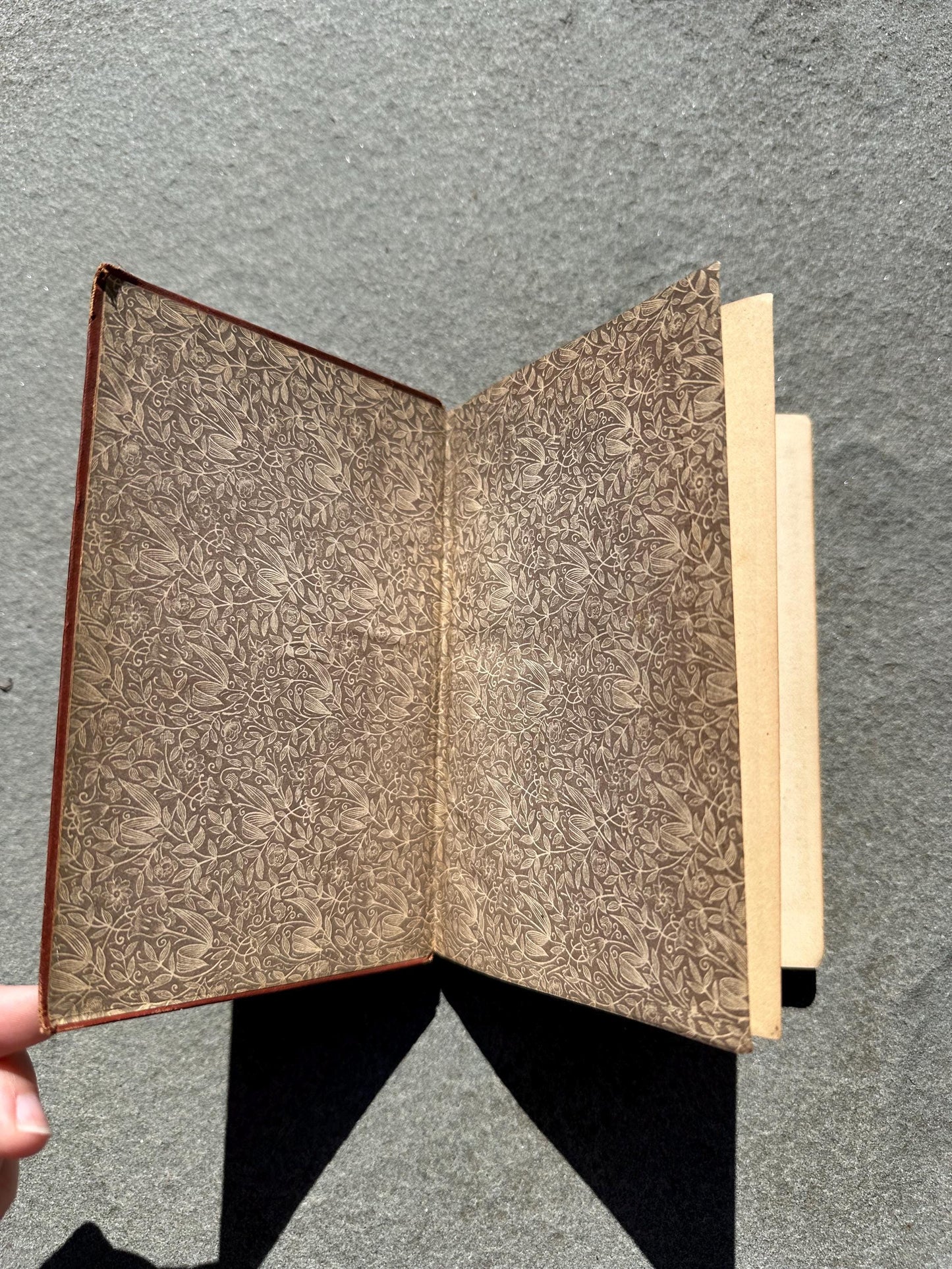 Antique 1877 Astronomy Science Primers Illustrated Hardcover Book by J. Norman Lockyer
