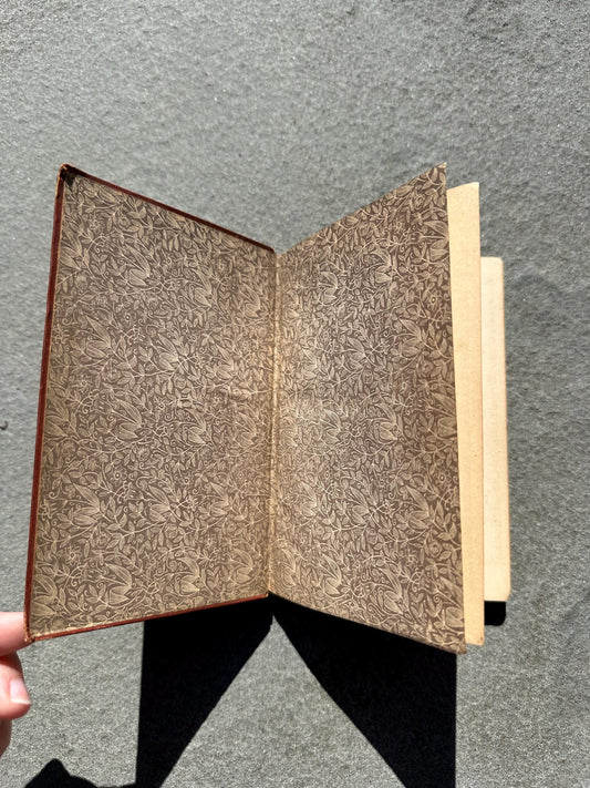Antique 1877 Astronomy Science Primers Illustrated Hardcover Book by J. Norman Lockyer