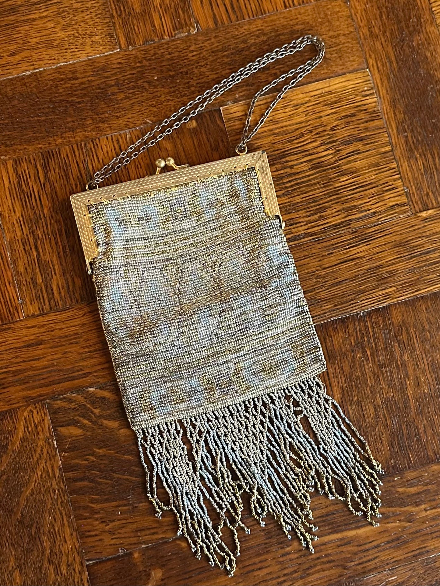 Antique 1900s Edwardian French Steel Micro Beaded Evening Purse with Fringe