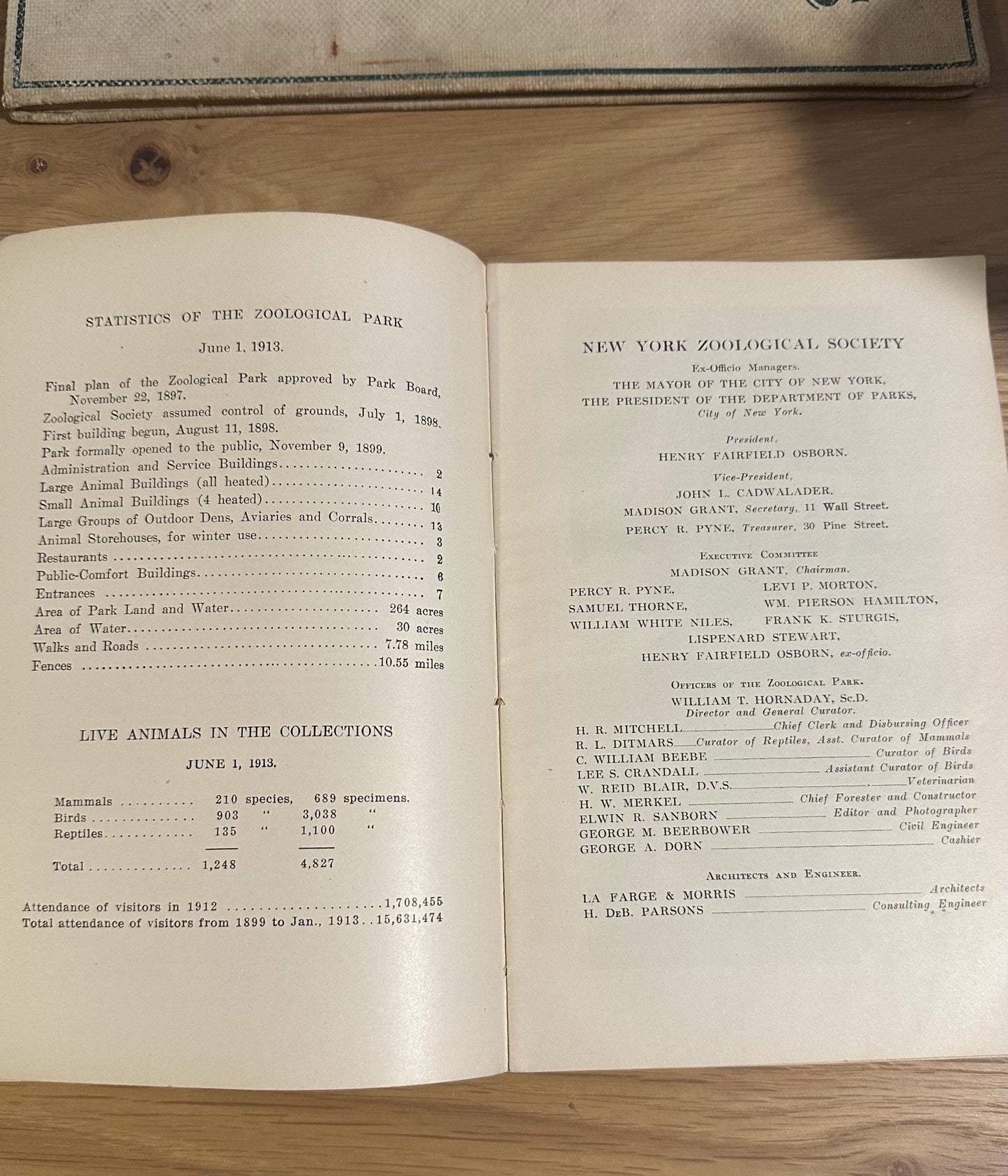 Antique 1913 Popular Official Guide to the New York Zoological Park Illustrated Hardcover Book