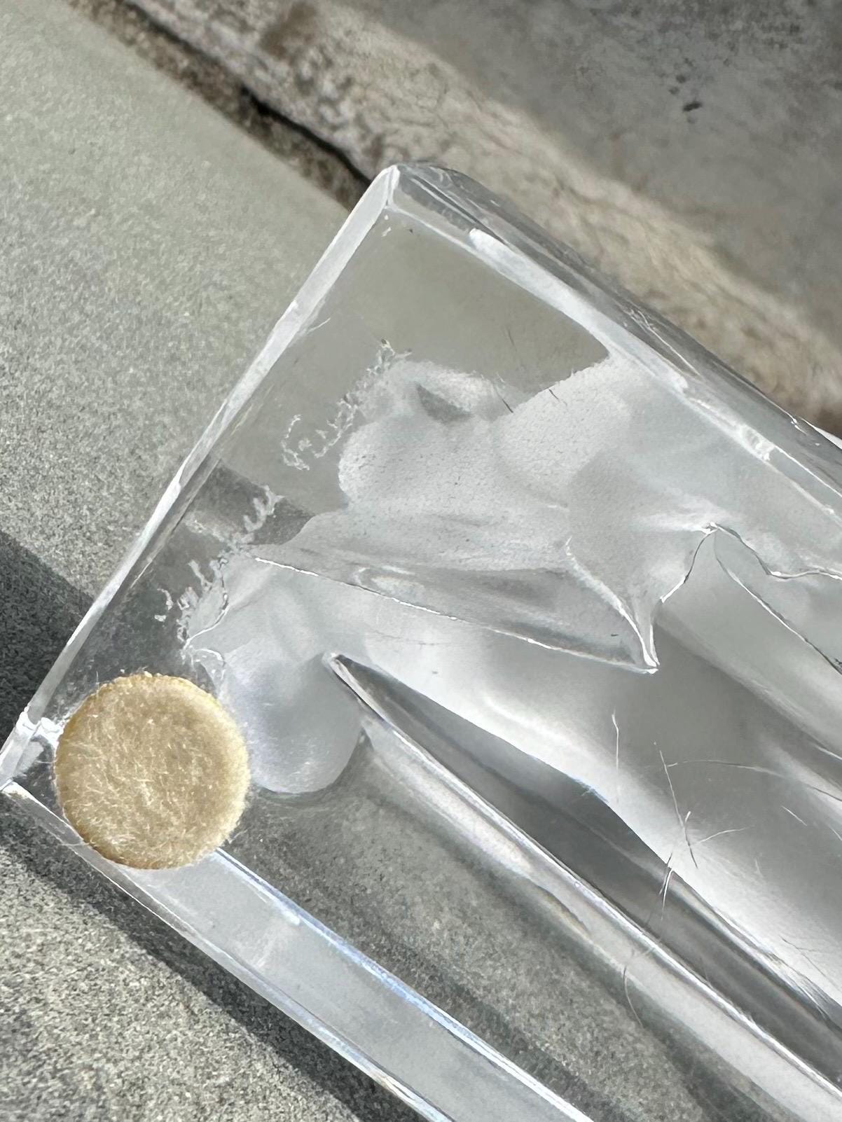 1970s Signed LALIQUE Paris France Cristal Frosted Crystal Buffalo Bison Paperweight