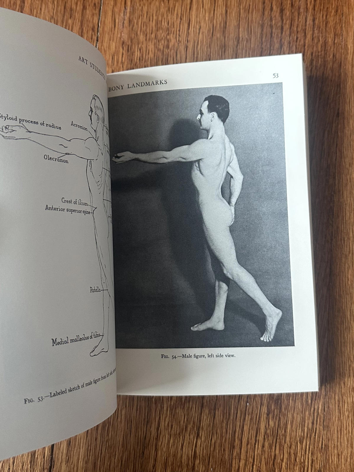 1961 Art Students' Anatomy by Edmond J. Farris Paperback Book Illustrated