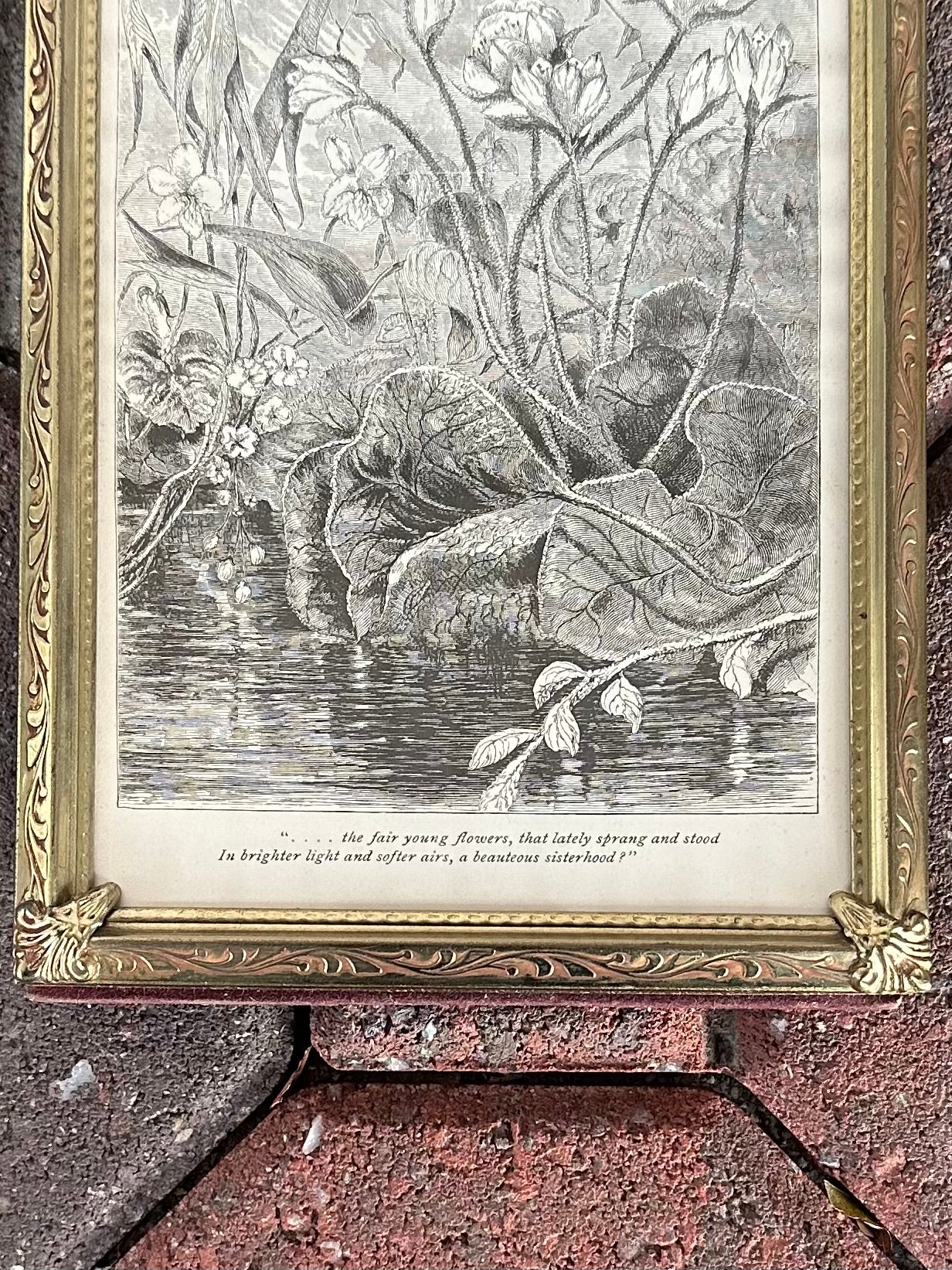 Vintage Framed Engraving "The Death of the Flowers" from 1878 Poetical Works of William Cullen Bryant