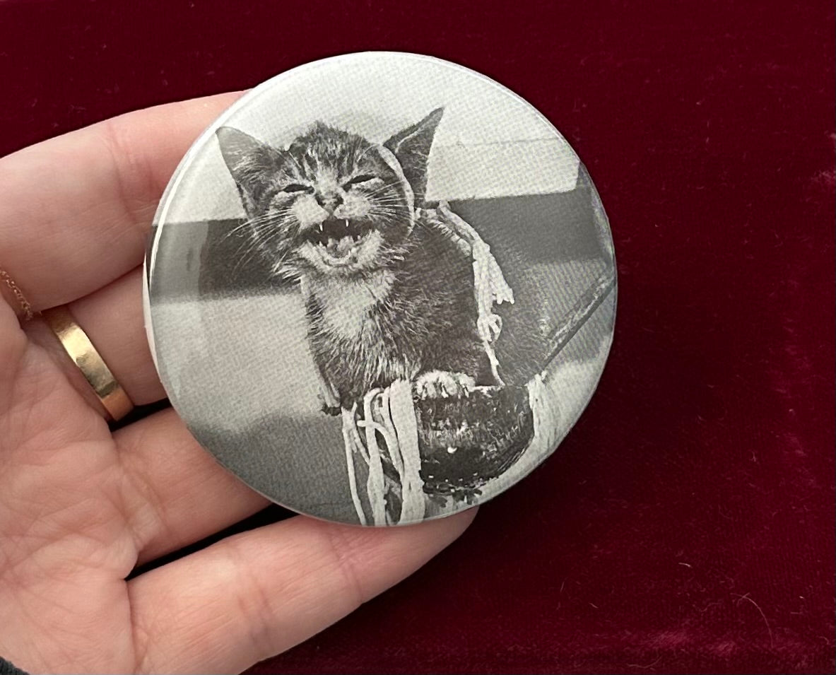 'Pasta-Garlanded Kitten' Button Pin