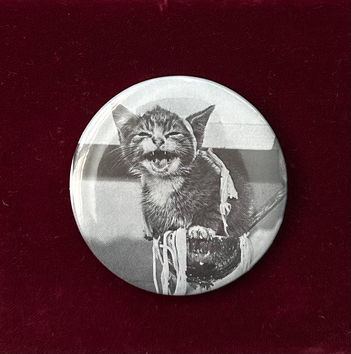 'Pasta-Garlanded Kitten' Button Pin
