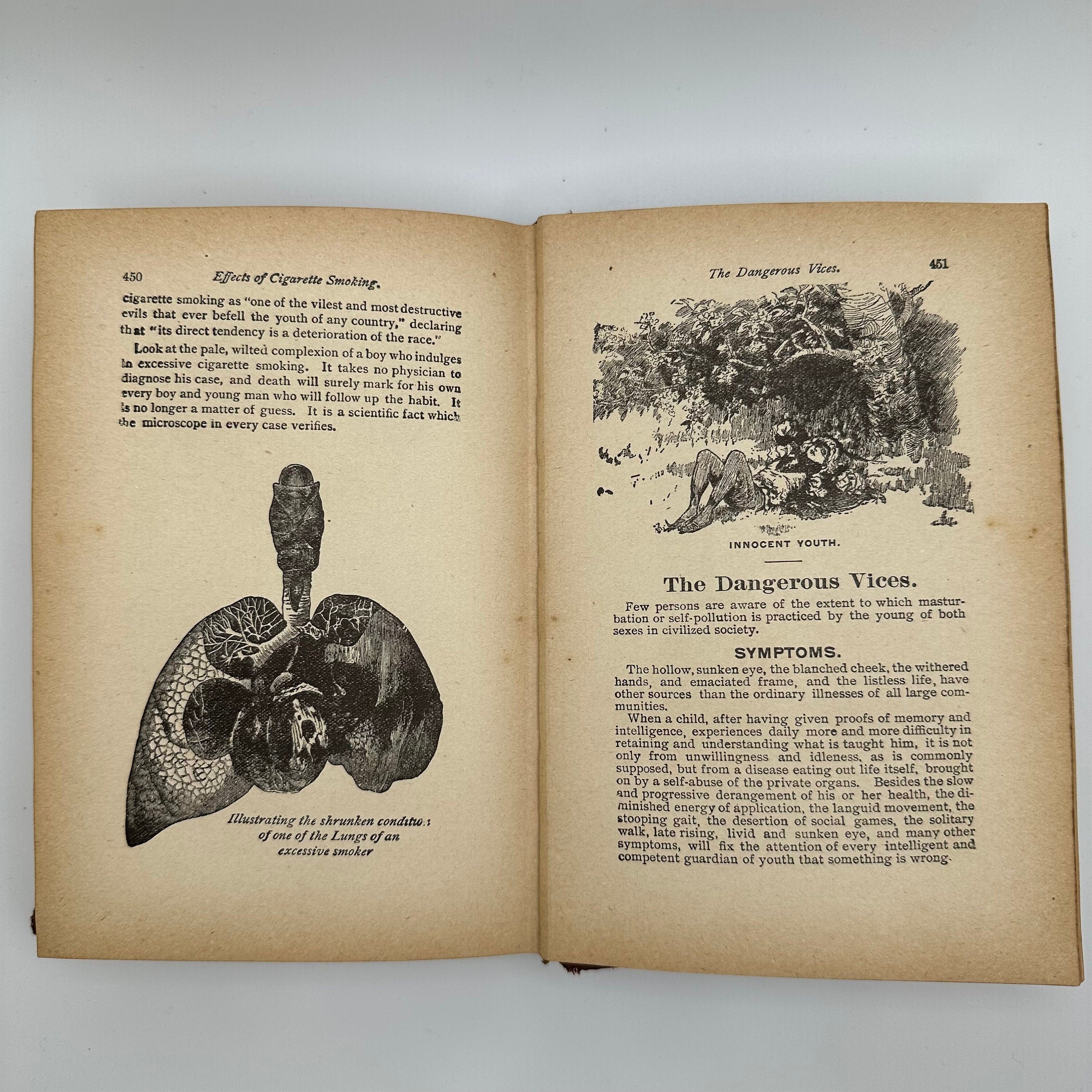 Antique 1913 Safe Counsel Guide to Purity and Physical Manhood Hardcover Book | 1900s Book | Antique Handbook