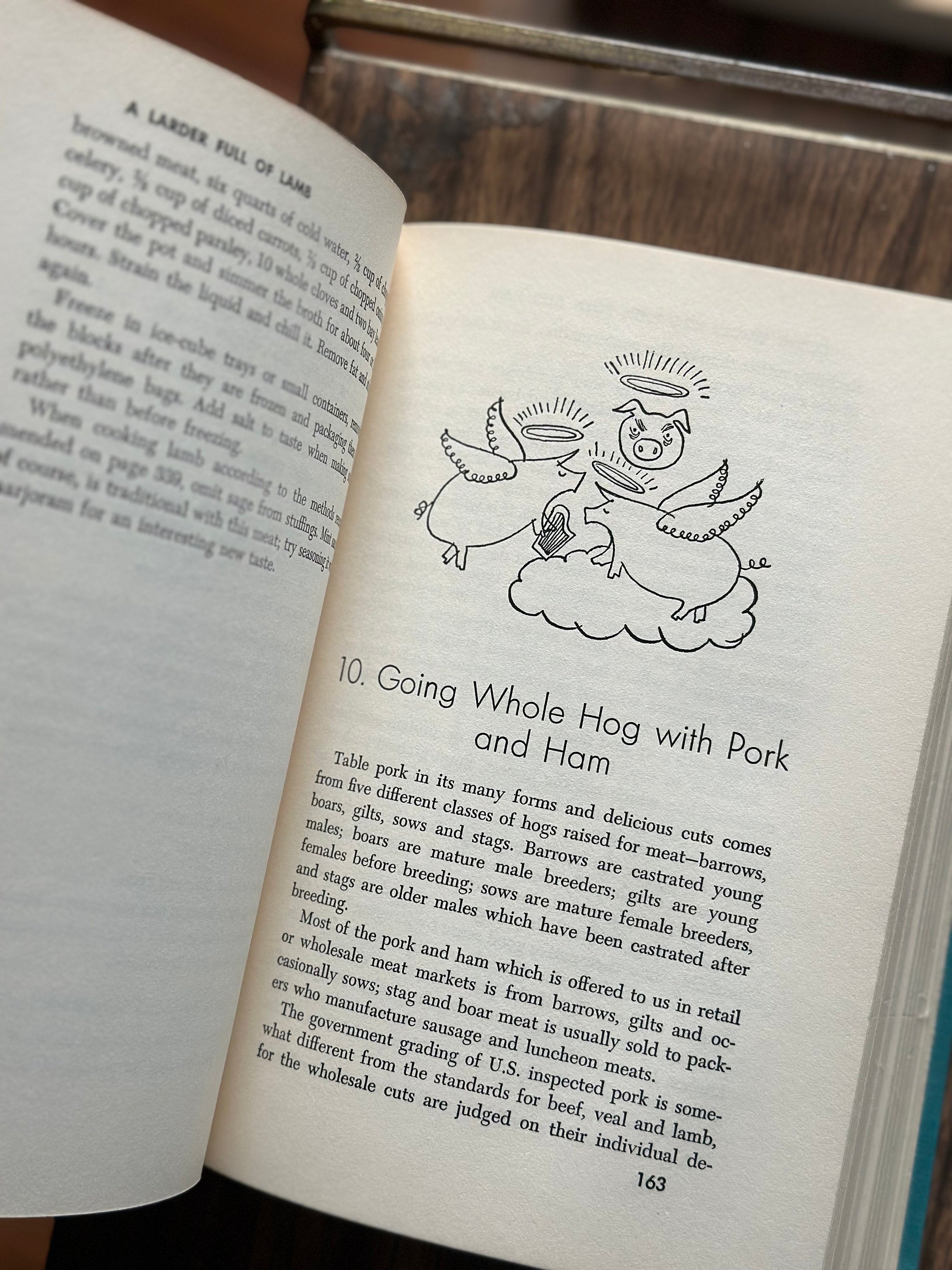 Vintage 1953 The Complete Book of Home Freezing by Hazel Meyer Second Impression Illustrated Hardcover Book