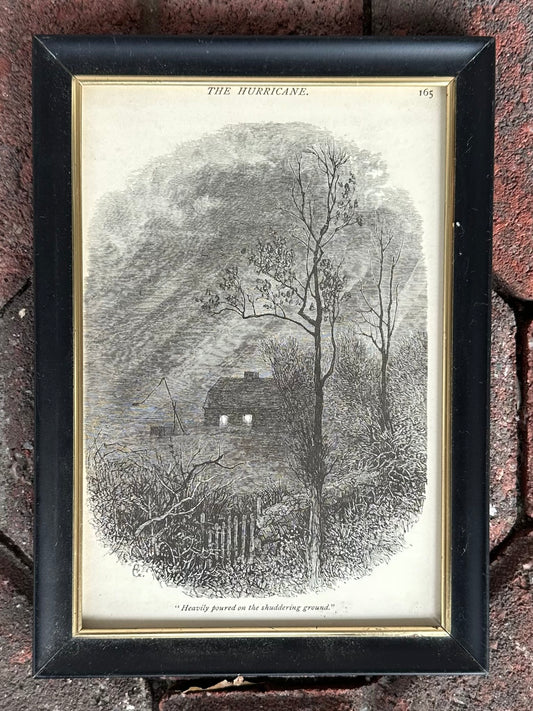 Vintage Framed Engraving "The Hurricane" from 1878 Poetical Works of William Cullen Bryant