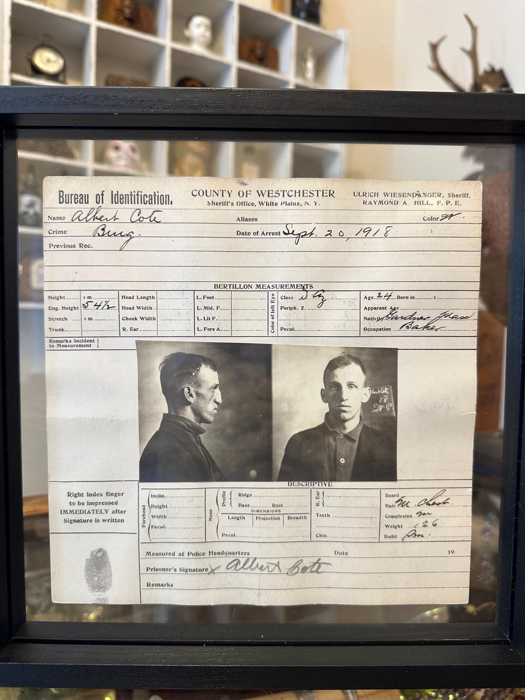 Double Sided Glass Framed Original Antique 1918 Bureau of Identification Mug Shot & Arrest Sheet for Albert Cote Burglary Westchester NY