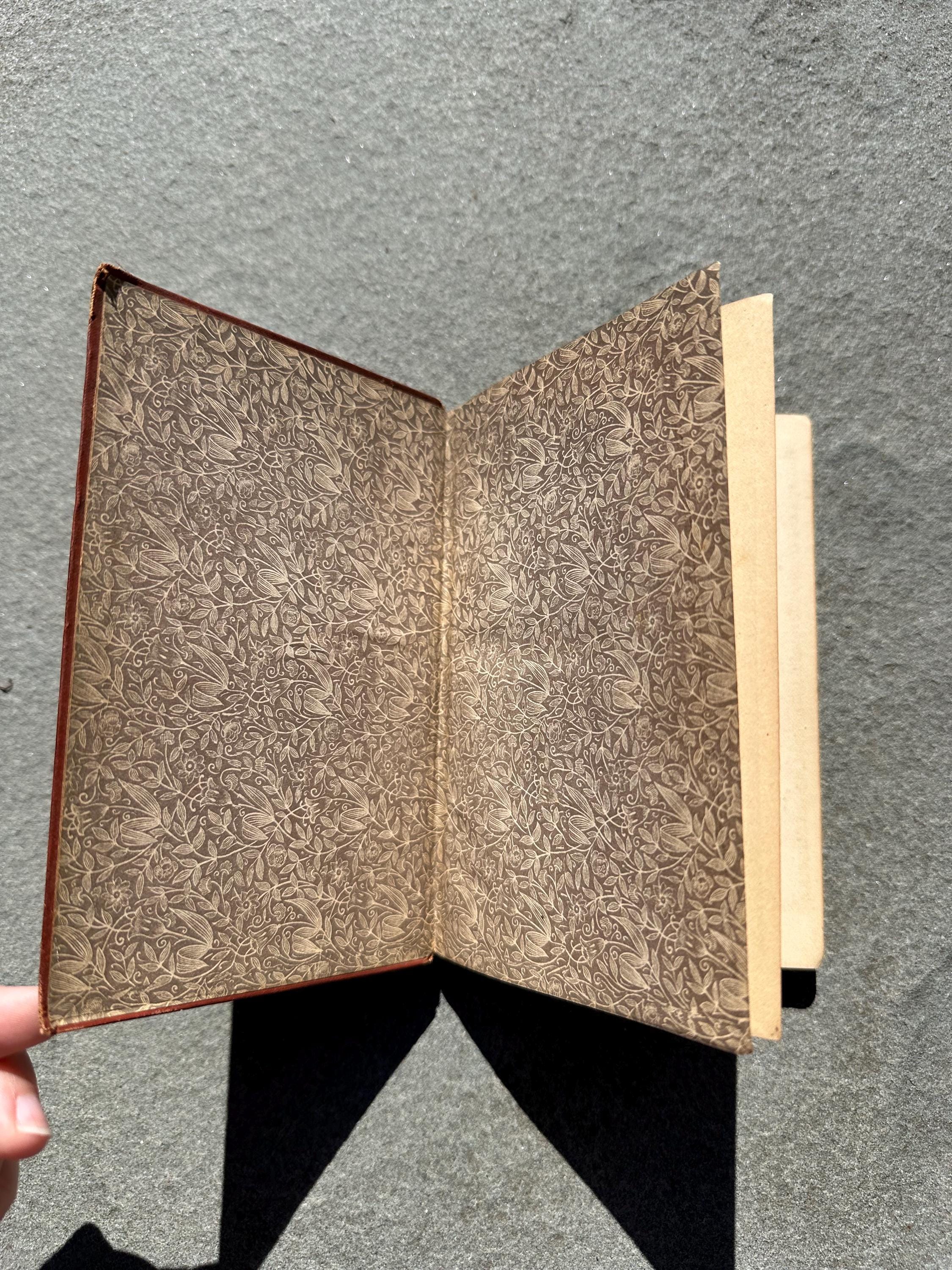 Antique 1877 Astronomy Science Primers Illustrated Hardcover Book by J. Norman Lockyer