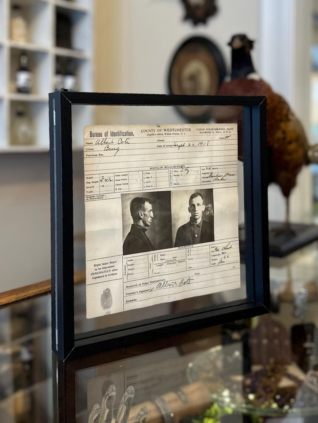 Double Sided Glass Framed Original Antique 1918 Bureau of Identification Mug Shot & Arrest Sheet for Albert Cote Burglary Westchester NY