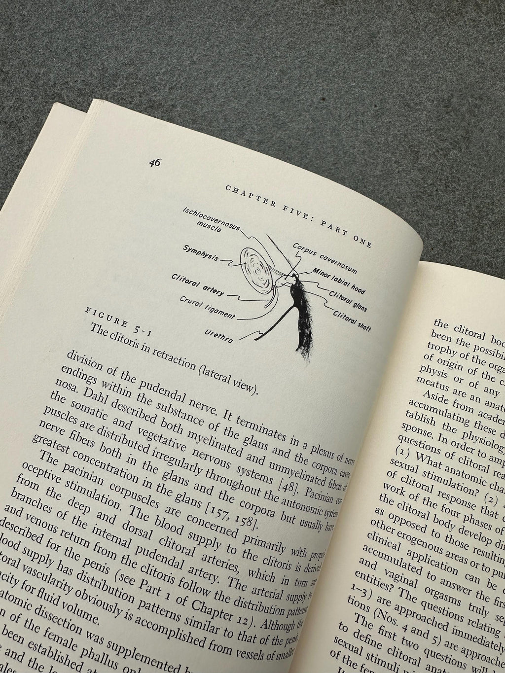 Vintage 1966 Human Sexual Response First Edition 11th Printing Hardcover Book William H. Masters & Virginia E. Johnson