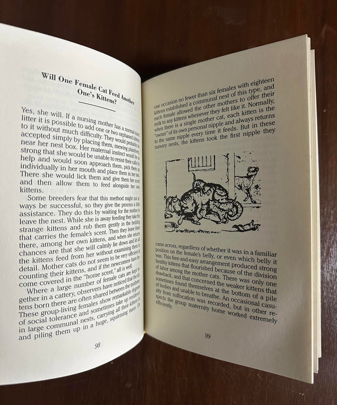 1987 CATLORE by Desmond Morris Hardcover Book with Dust Jacket | First American Edition