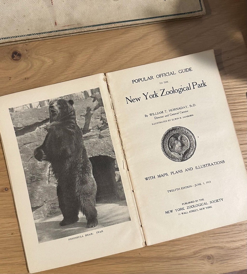 Antique 1913 Popular Official Guide to the New York Zoological Park Illustrated Hardcover Book