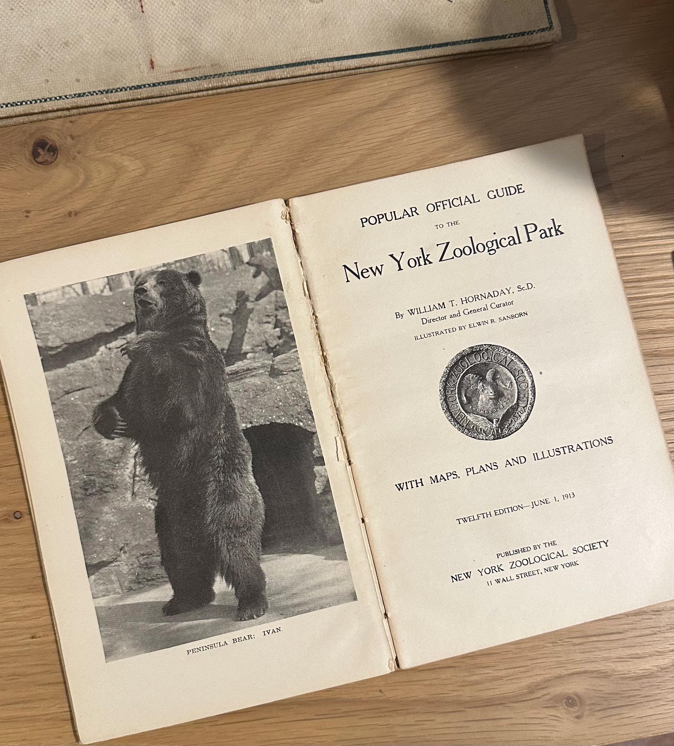 Antique 1913 Popular Official Guide to the New York Zoological Park Illustrated Hardcover Book