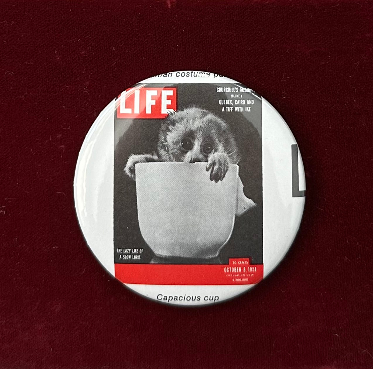 'Capacious Cup' Monkey LIFE Magazine Cover 1951 Button Pin