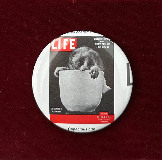 'Capacious Cup' Monkey LIFE Magazine Cover 1951 Button Pin