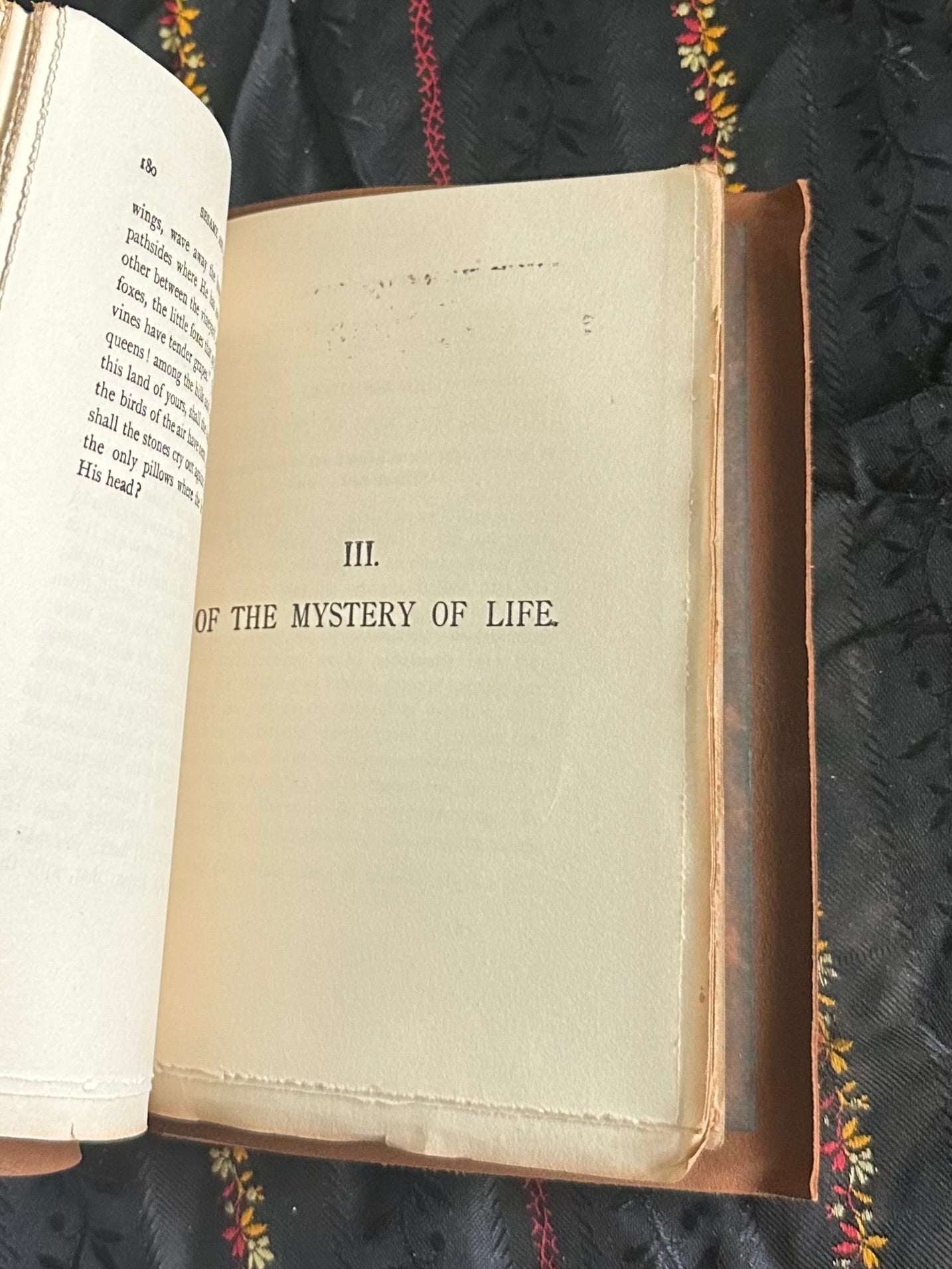 Antique Early 1900s Sesame and Lilies Ooze Calf Leather Bound Book