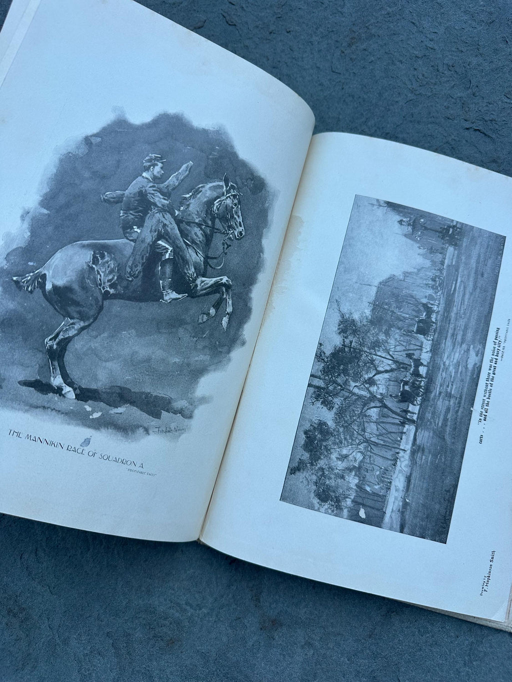 Antique 1896 Field Flowers Eugene Field Monument Souvenir Illustrated Hardcover Book