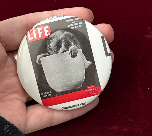 'Capacious Cup' Monkey LIFE Magazine Cover 1951 Button Pin