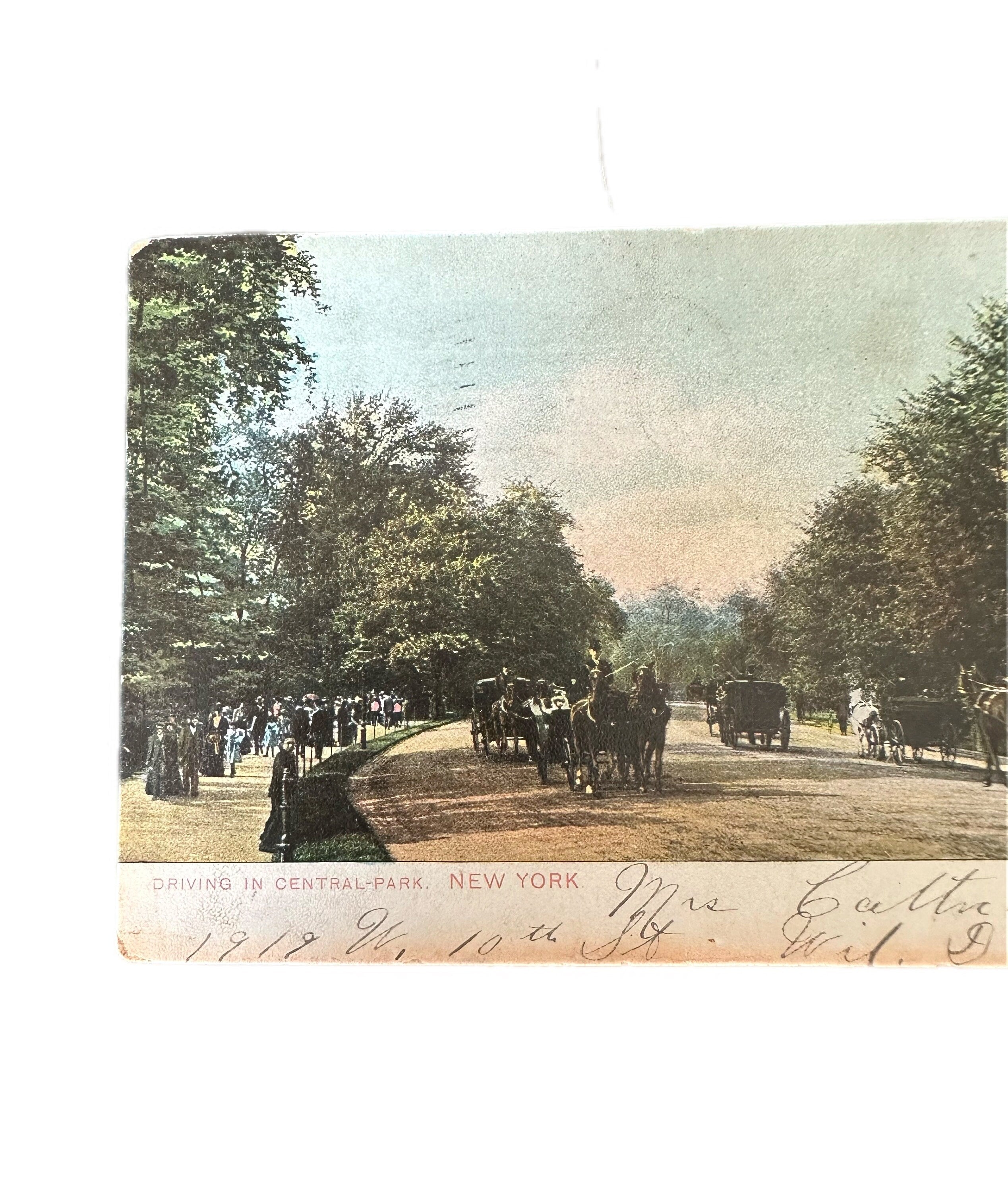 Antique 1907 Postmarked Driving in Central Park NYC Horse Drawn Carriages Topographical Postcard New York City Victorian