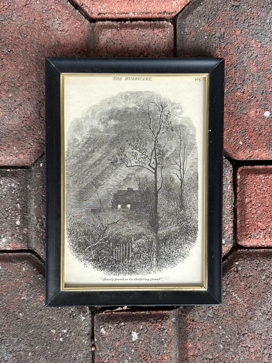 Vintage Framed Engraving "The Hurricane" from 1878 Poetical Works of William Cullen Bryant