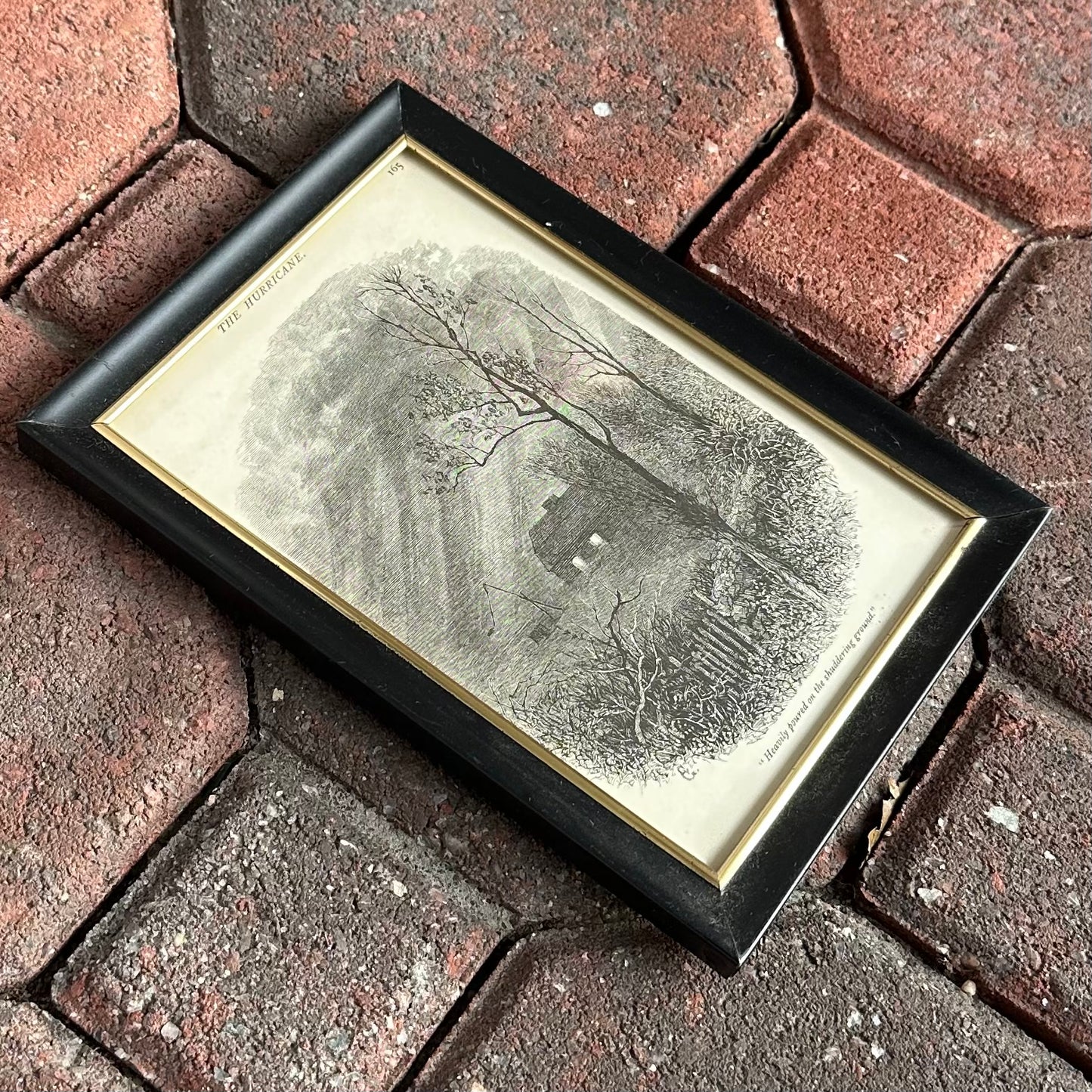 Vintage Framed Engraving "The Hurricane" from 1878 Poetical Works of William Cullen Bryant