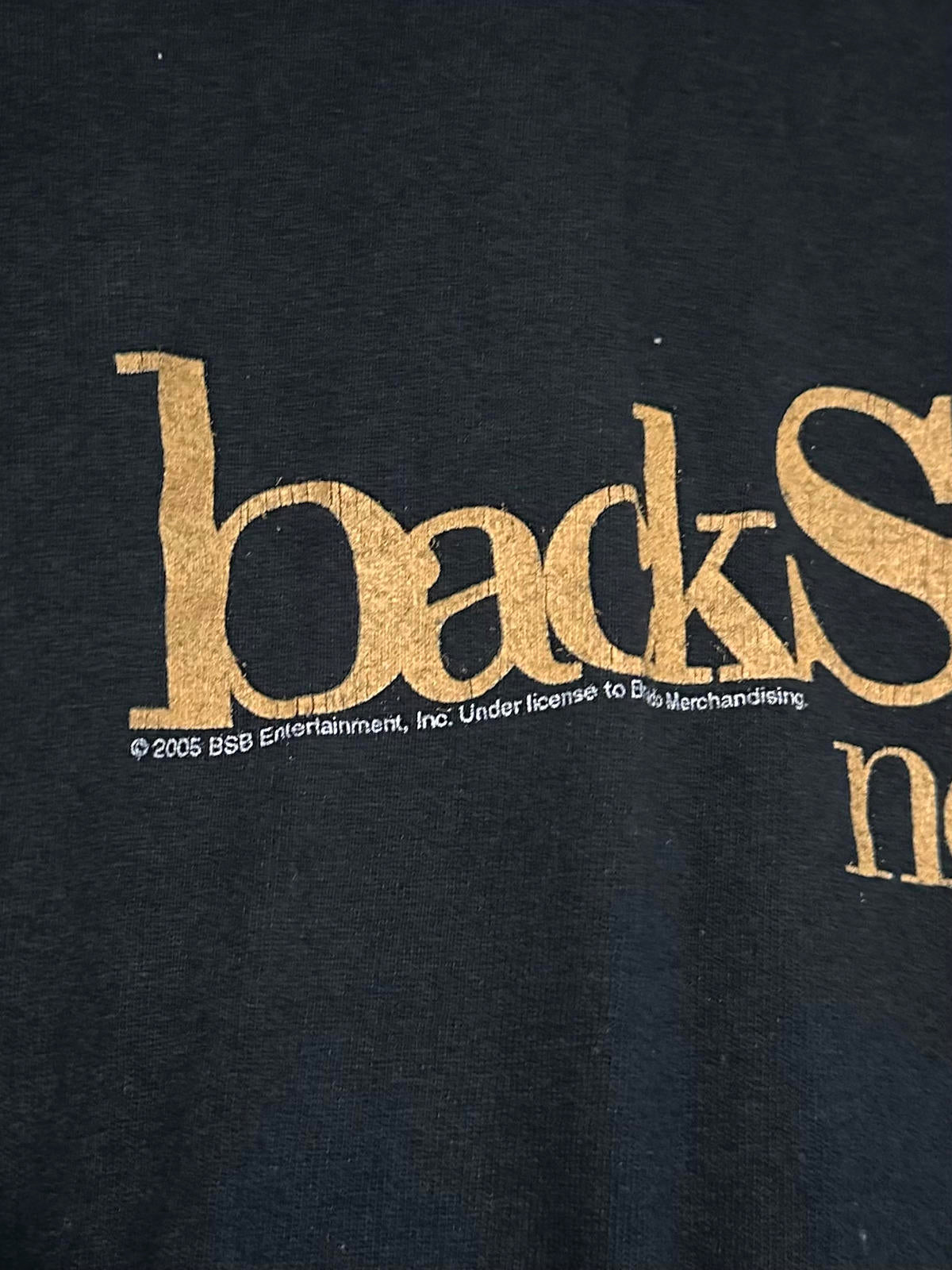 Y2K 2005 Backstreet Boys Never Gone Tour Tee Cotton M