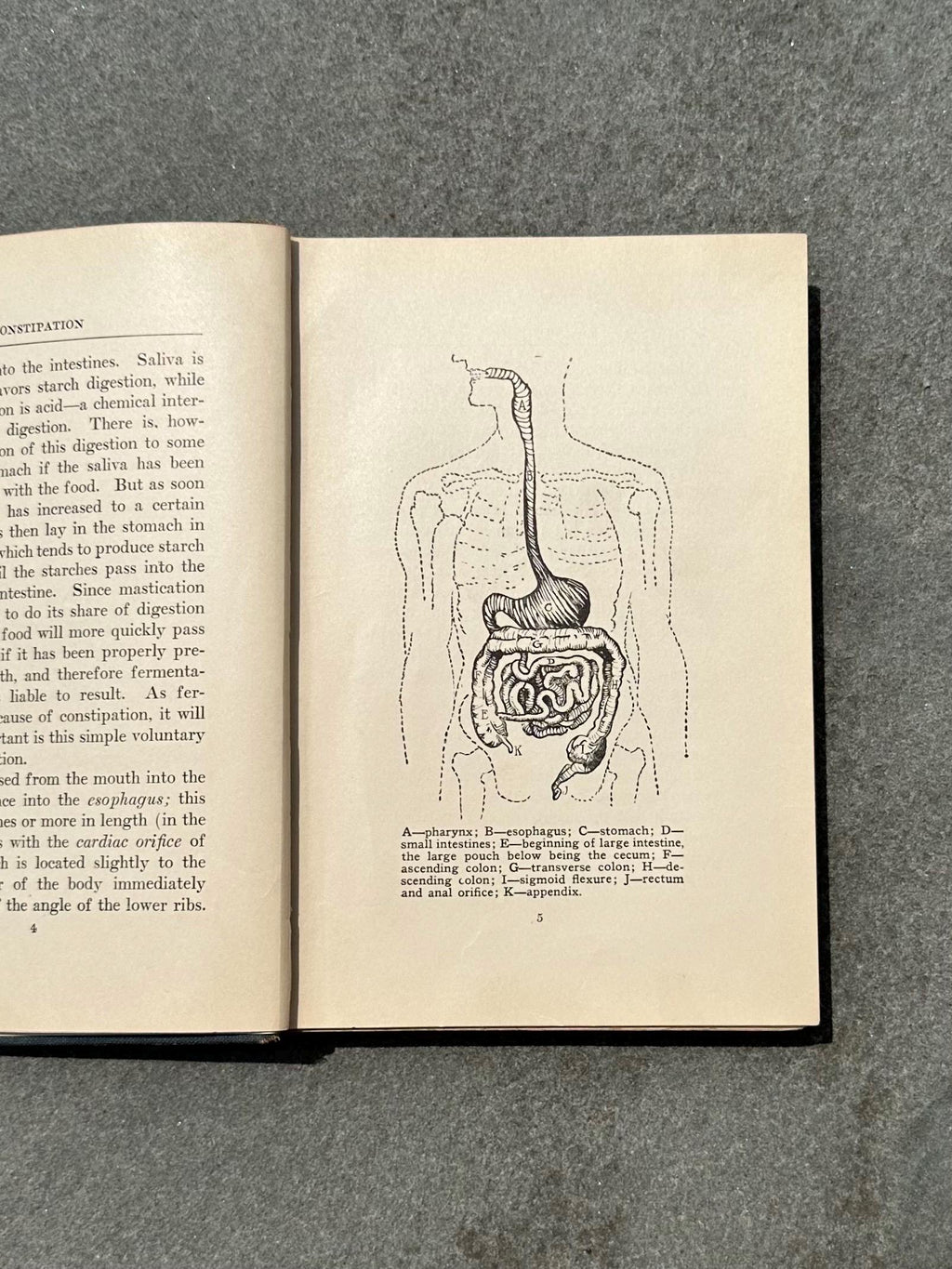 Antique 1927 Constipation Its Cause, Effect and Treatment Hardcover Illustrated Book by Bernarr Macfadden