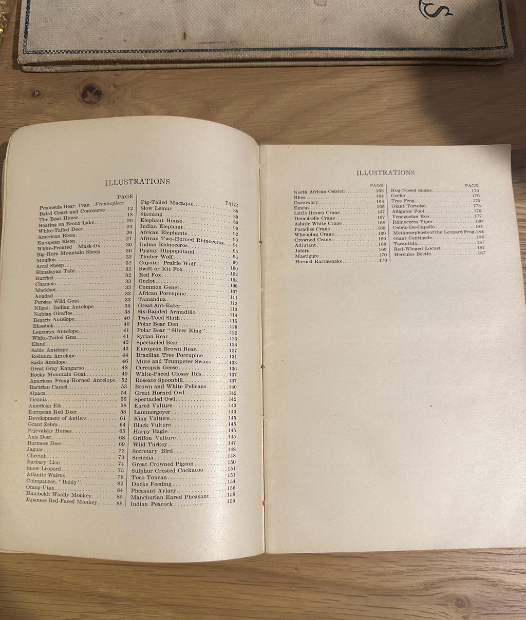 Antique 1913 Popular Official Guide to the New York Zoological Park Illustrated Hardcover Book