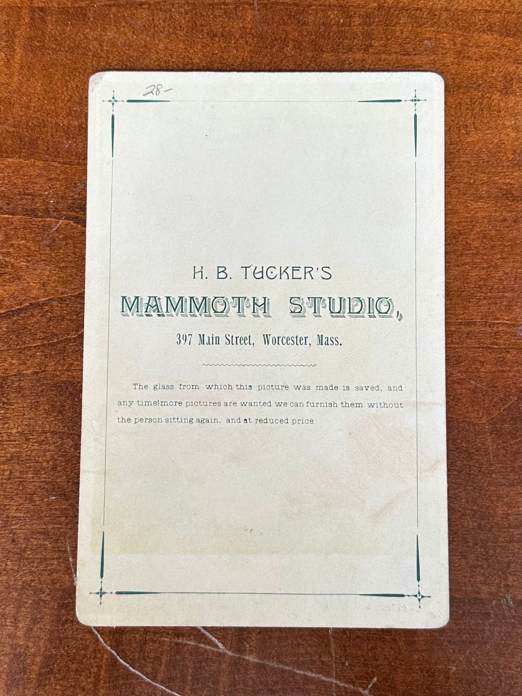 Antique Late 1800s H.B. Tucker’s Mammoth Studio Worcester MA Cabinet Card Portrait of Young Woman 6.5x4.25