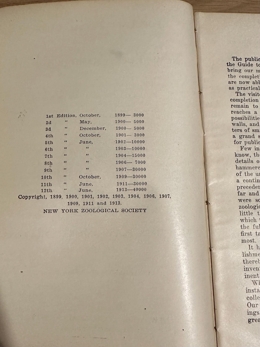 Antique 1913 Popular Official Guide to the New York Zoological Park Illustrated Hardcover Book