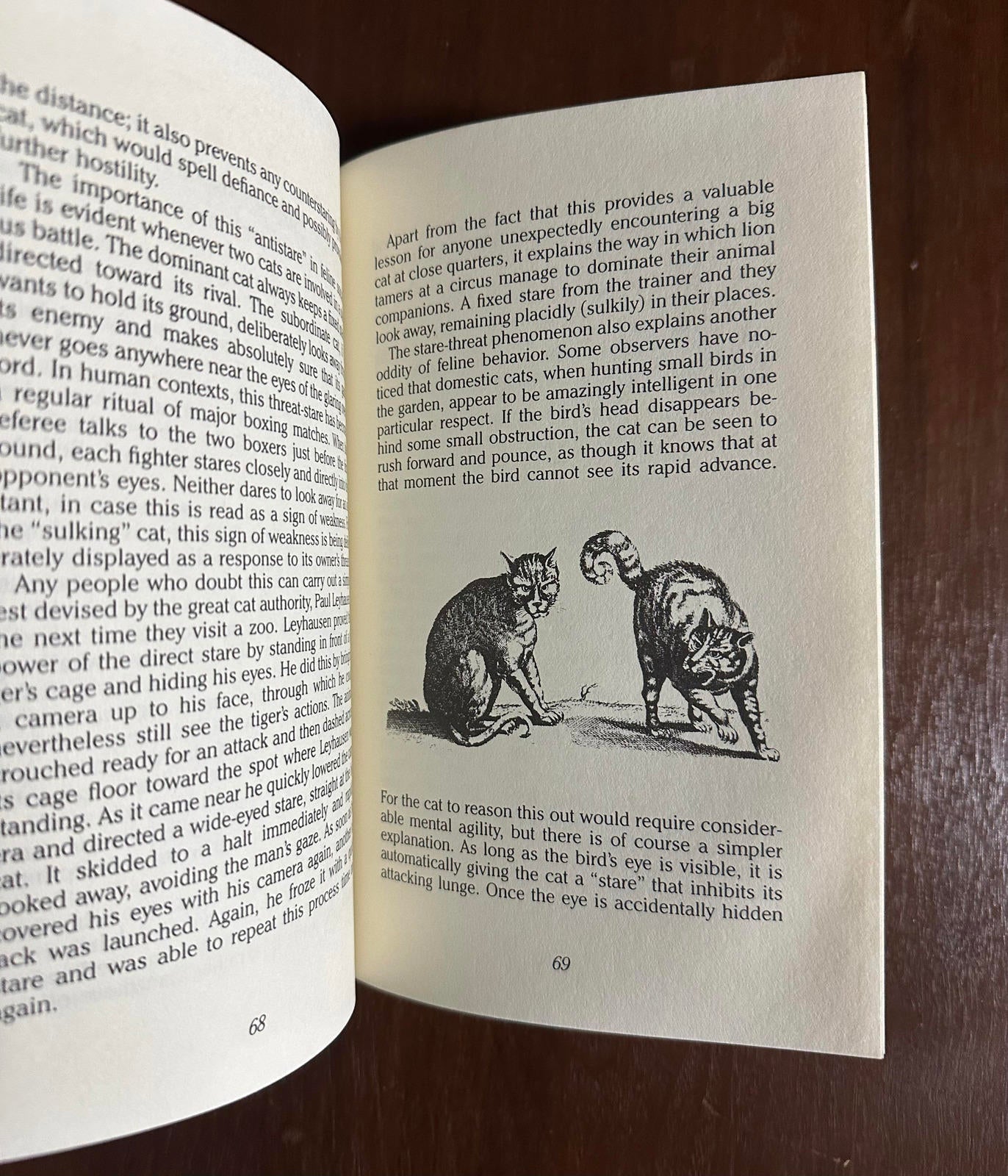 1987 CATLORE by Desmond Morris Hardcover Book with Dust Jacket | First American Edition