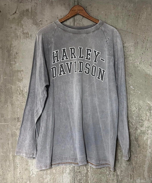 Y2K 2000 Harley Davidson Danbury CT Long Sleeve Faded Thrashed Shirt