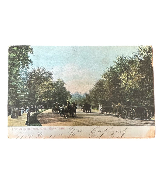 Antique 1907 Postmarked Driving in Central Park NYC Horse Drawn Carriages Topographical Postcard