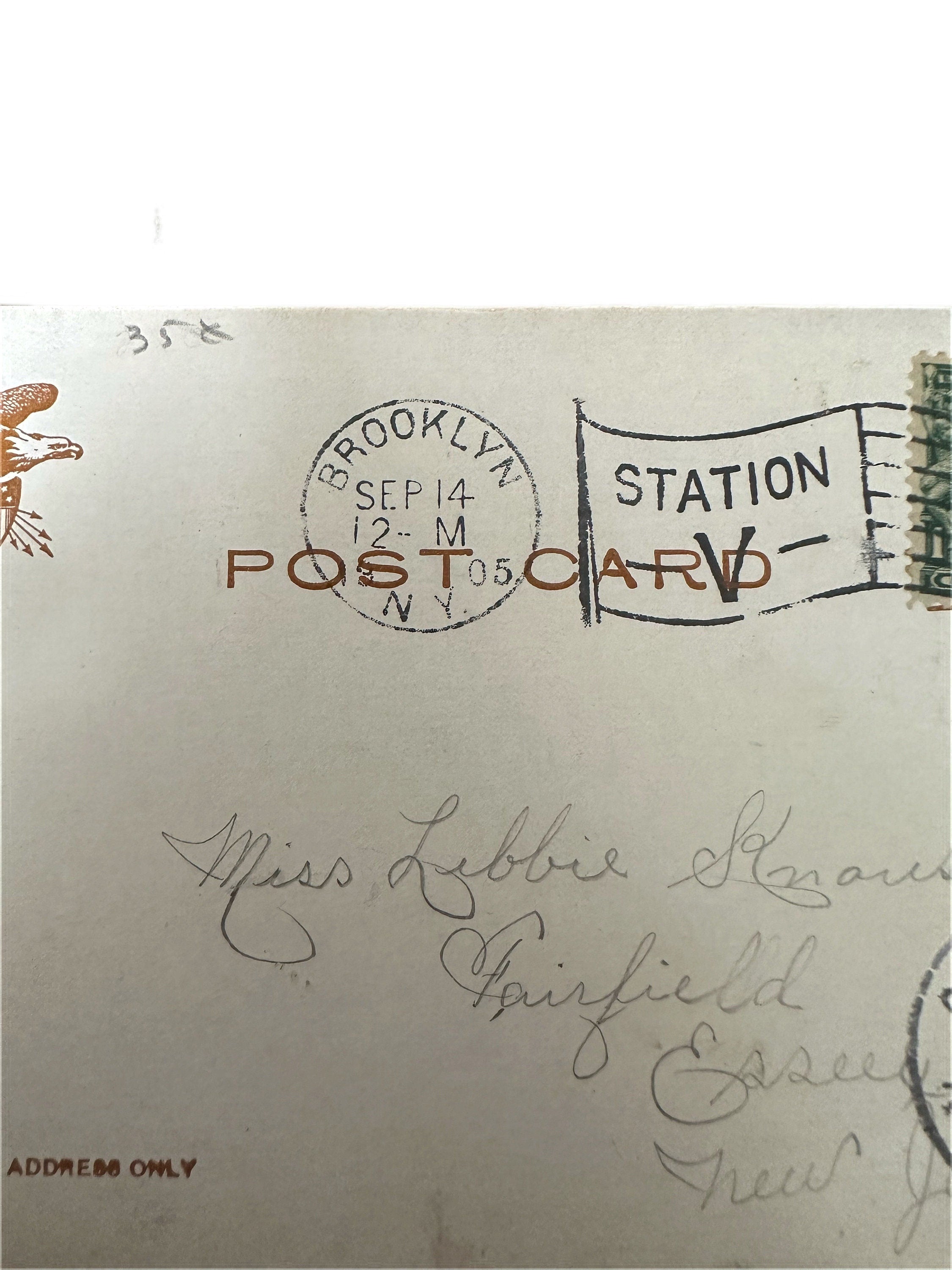 Antique 1905 Postmarked Helter Skelter Luna Park Coney Island NYC Topographical Postcard Geo. P. Hall & Son New York City